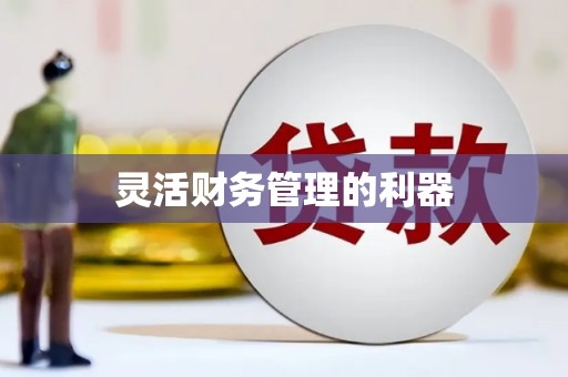 公主岭灵活财务管理的利器