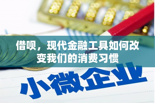 公主岭借呗，现代金融工具如何改变我们的消费习惯