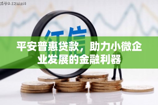 公主岭平安普惠贷款，助力小微企业发展的金融利器
