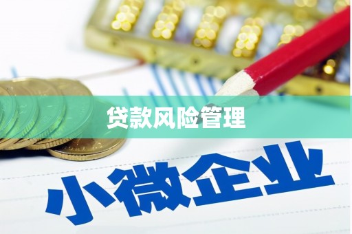 公主岭贷款风险管理