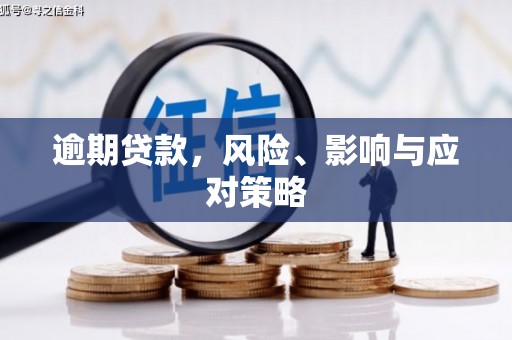 公主岭逾期贷款，风险、影响与应对策略