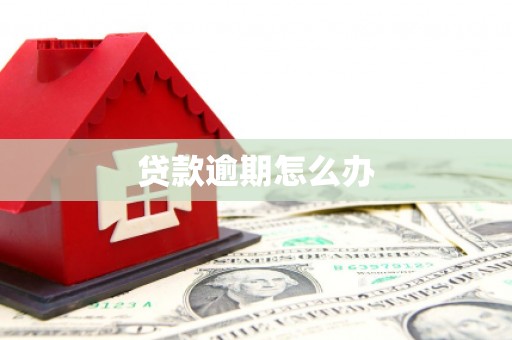 公主岭贷款逾期怎么办