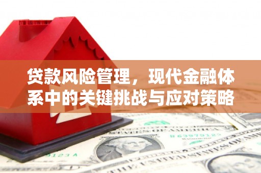 公主岭贷款风险管理，现代金融体系中的关键挑战与应对策略