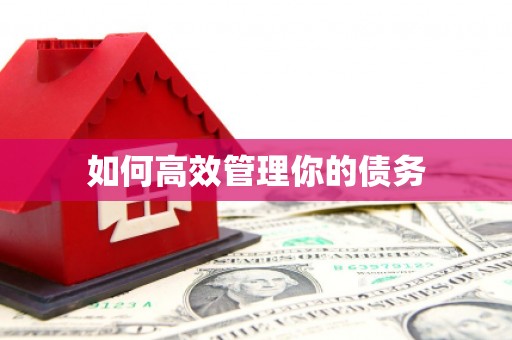 公主岭如何高效管理你的债务