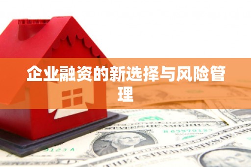 公主岭企业融资的新选择与风险管理